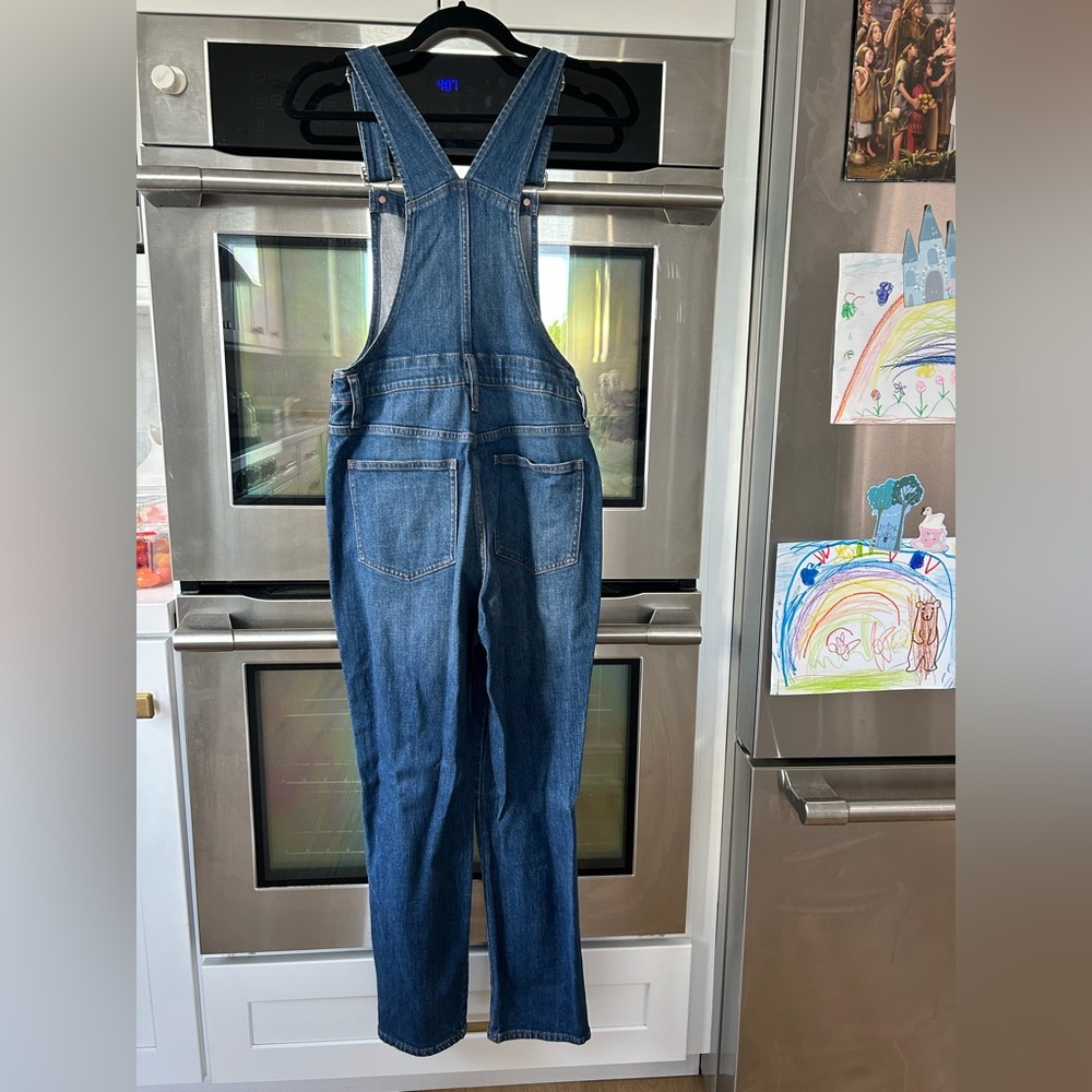 Madewell Skinny Overalls in Jansing Wash - Picture 8 of 9